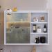 Espelheira Armário Banheiro 60 cm Espelho Porta Prateleira Organizadora Lavabo Luxo - Branco