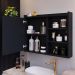 Espelheira Suspensa Armário Banheiro Prateleira Organizadora Kit Acessórios Lavabo 6 Peças Resistente Premium - Preto - RPM