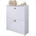 Sapateira Closet Vertical Organizadora 12 Pares Calçados Unissex Prateleira 2 Andares Gavetas Basculante Branco - Lojas RPM