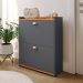 Sapateira Closet Vertical Organizadora 12 Pares Calçados Unissex Prateleira 2 Andares Gavetas Basculante Cinza/Cinamomo - Lojas RPM