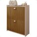Sapateira Closet Vertical Organizadora 12 Pares Calçados Unissex Prateleira 2 Andares Gavetas Basculante Fendi/Ripado - Lojas RPM