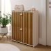 Sapateira Closet Vertical Organizadora 12 Pares Calçados Unissex Prateleira 2 Andares Gavetas Basculante Fendi/Ripado - Lojas RPM