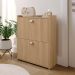 Sapateira Closet Vertical Organizadora 12 Pares Calçados Unissex Prateleira 2 Andares Gavetas Basculante Hanover - Lojas RPM