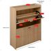 Sapateira Closet Vertical Organizadora 12 Pares Calçados Unissex Prateleira 2 Andares Gavetas Basculante Hanover - Lojas RPM