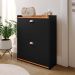 Sapateira Closet Vertical Organizadora 12 Pares Calçados Unissex Prateleira 2 Andares Gavetas Basculante Preto/Cinamomo - Lojas RPM