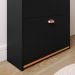 Sapateira Closet Vertical Organizadora 12 Pares Calçados Unissex Prateleira 2 Andares Gavetas Basculante Preto/Cinamomo - Lojas RPM