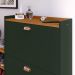 Sapateira Vertical Milano 2 Gavetas Basculantes Prateleira Porta Calçados Banquinho Hall Entrada Canto Quarto Retrô - Verde/Cedro - RPM