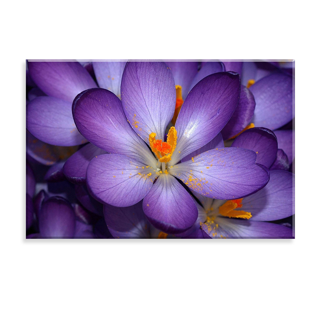 Tela Decorativa em Canvas Flor Roxa
