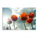 Tela Decorativa em Canvas Flores Red