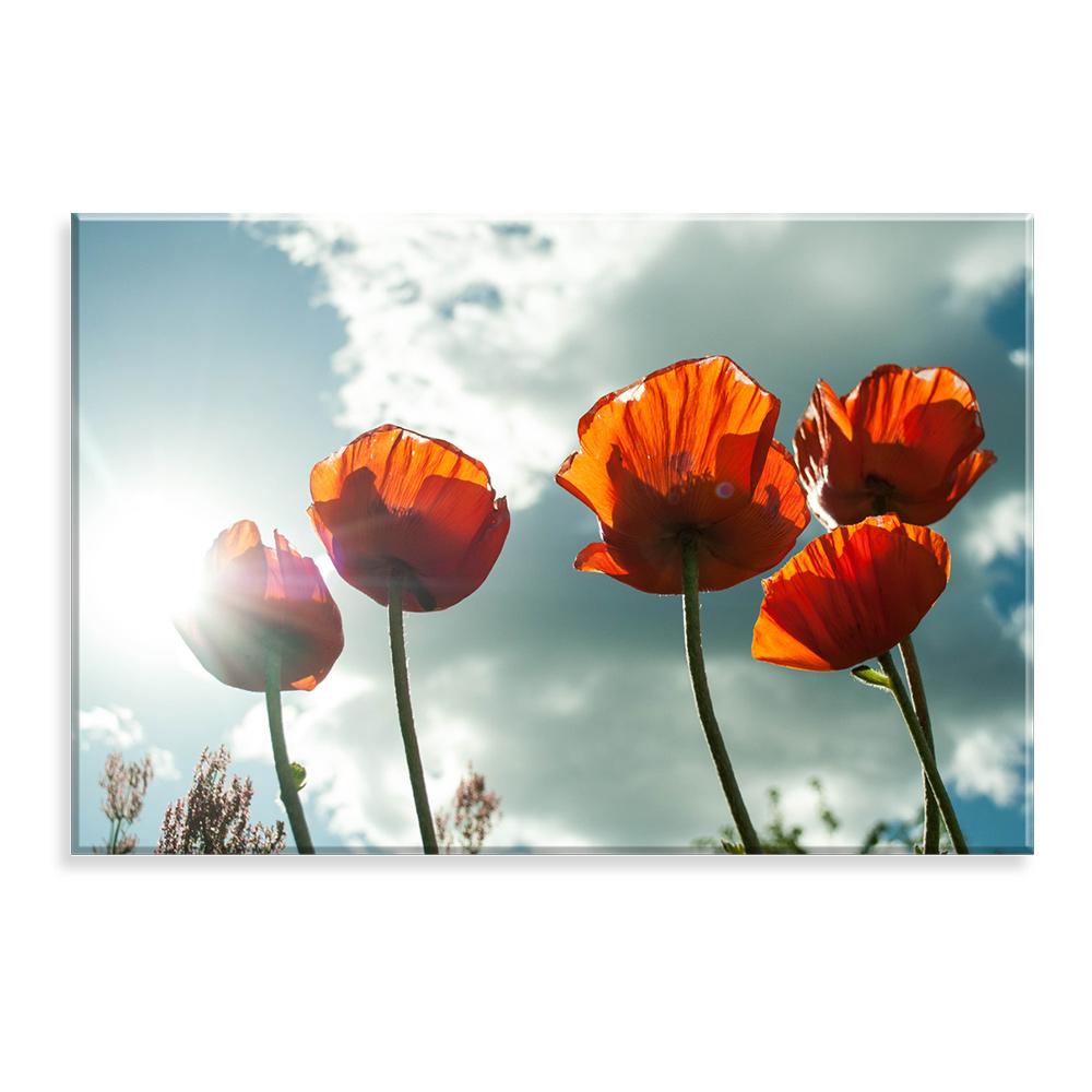 Tela Decorativa em Canvas Flores Red