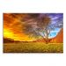 Tela Decorativa em Canvas Forest Sunset
