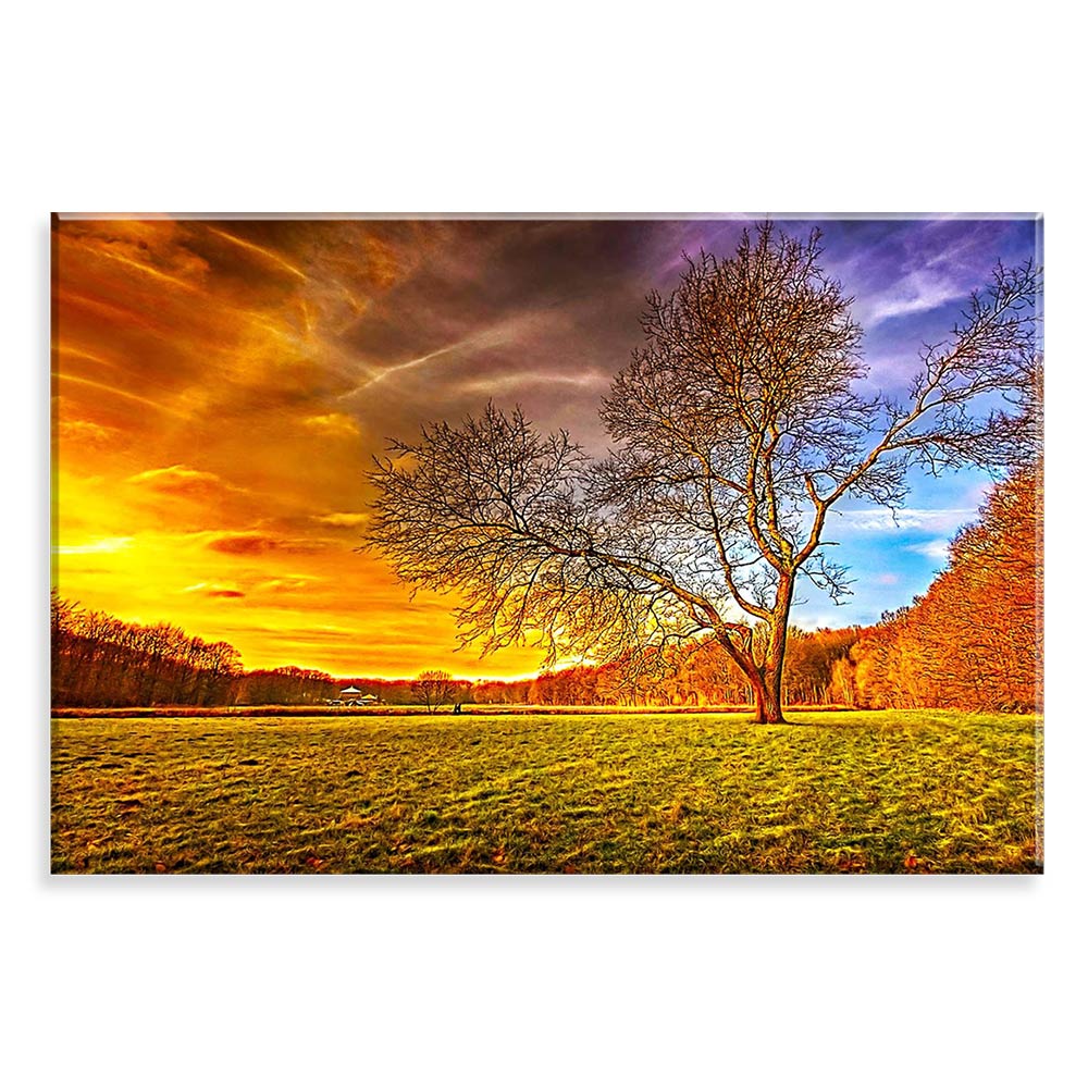 Tela Decorativa em Canvas Forest Sunset