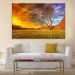 Tela Decorativa em Canvas Forest Sunset