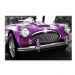 Tela Decorativa em Canvas Purple Car