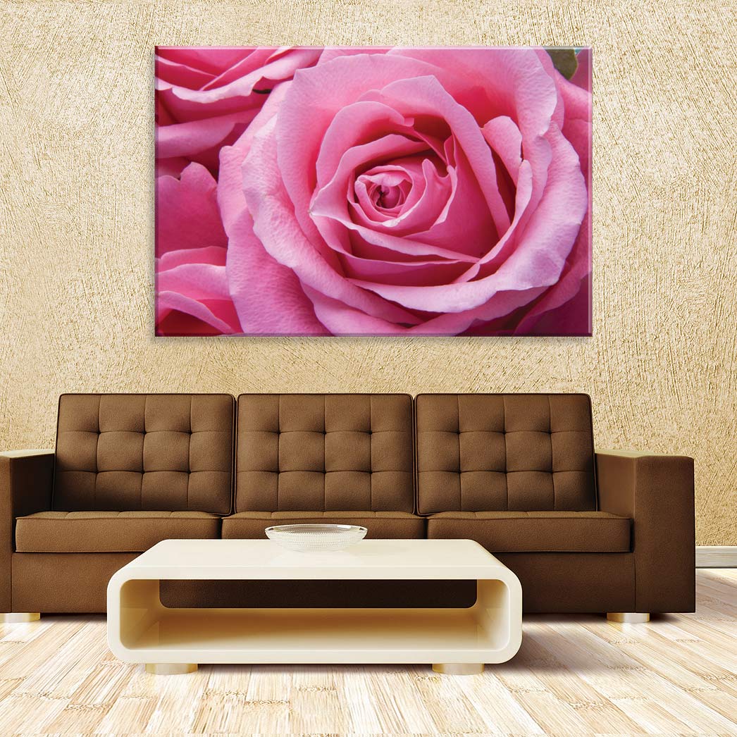 Tela Decorativa em Canvas Rosa