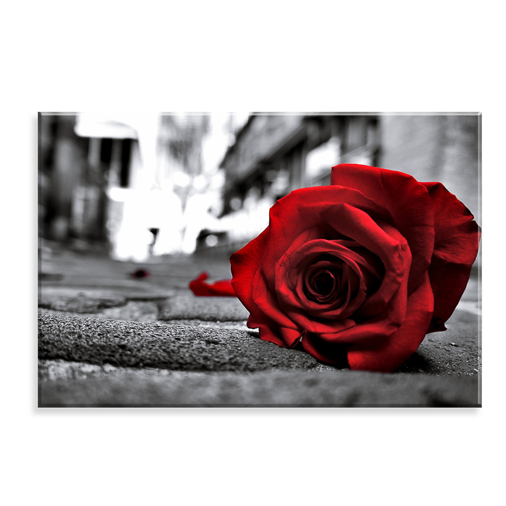 Tela Decorativa em Canvas Rosa Marcada