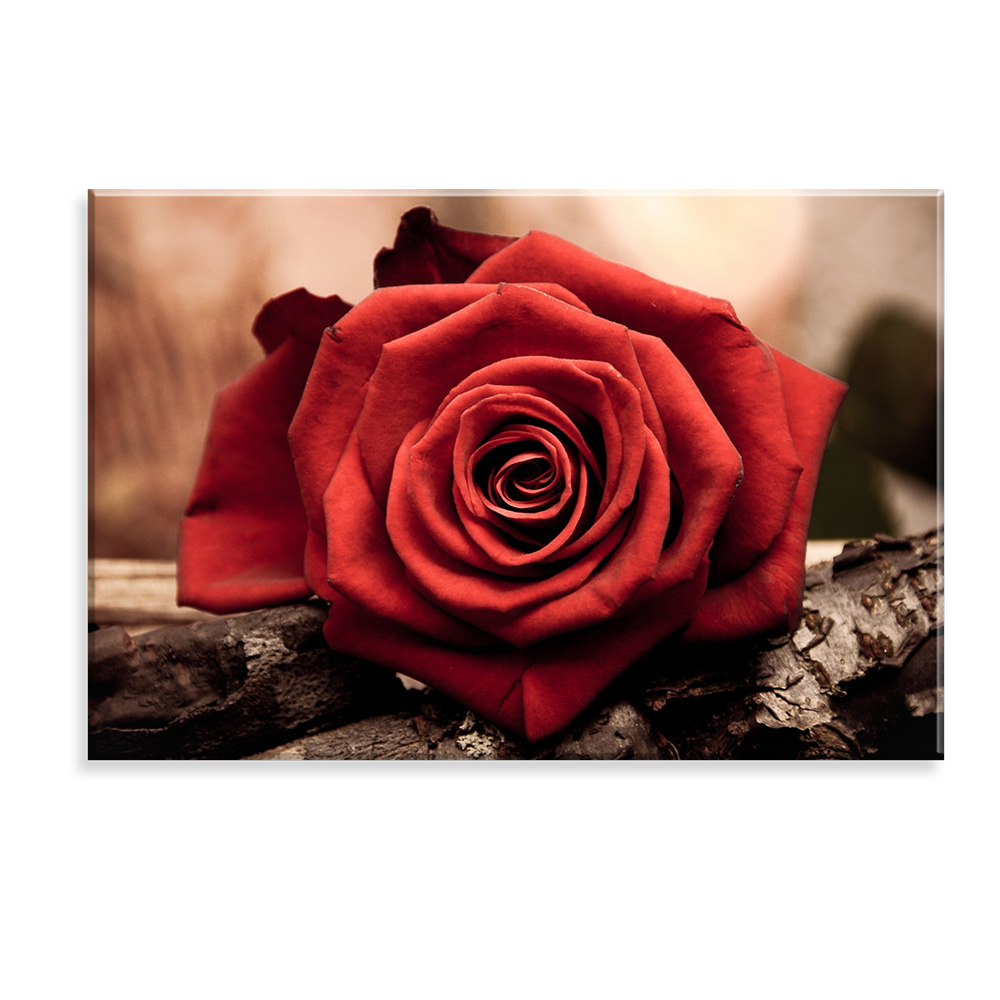 Tela Decorativa em Canvas Rosas