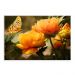 Tela Decorativa em Canvas Rosas Amarelas