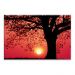 Tela Decorativa em Canvas Sunset