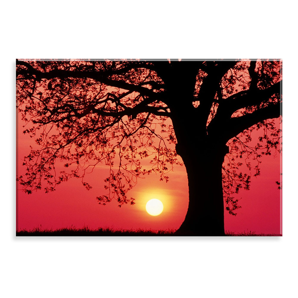 Tela Decorativa em Canvas Sunset
