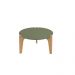 Mesa De Centro Caribe 55Cm P/ Decoração E Utilidades - Verde Floresta/Freijo