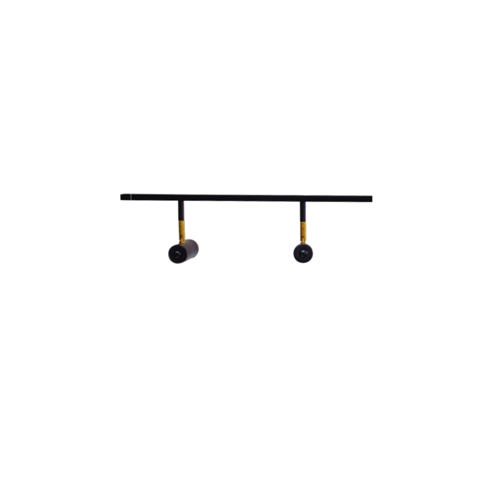 Trilho de Teto com 2 Spots Amaya Preto 50cm