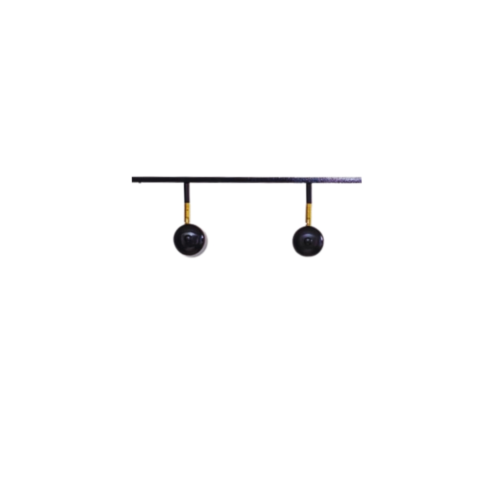 Trilho de Teto com 2 Spots Ewa Preto 50cm