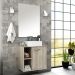 Balcão Gabinete Suspenso Para Banheiro 60 cm Com 01 Porta Anne B06 Barrique - Lyam Decor