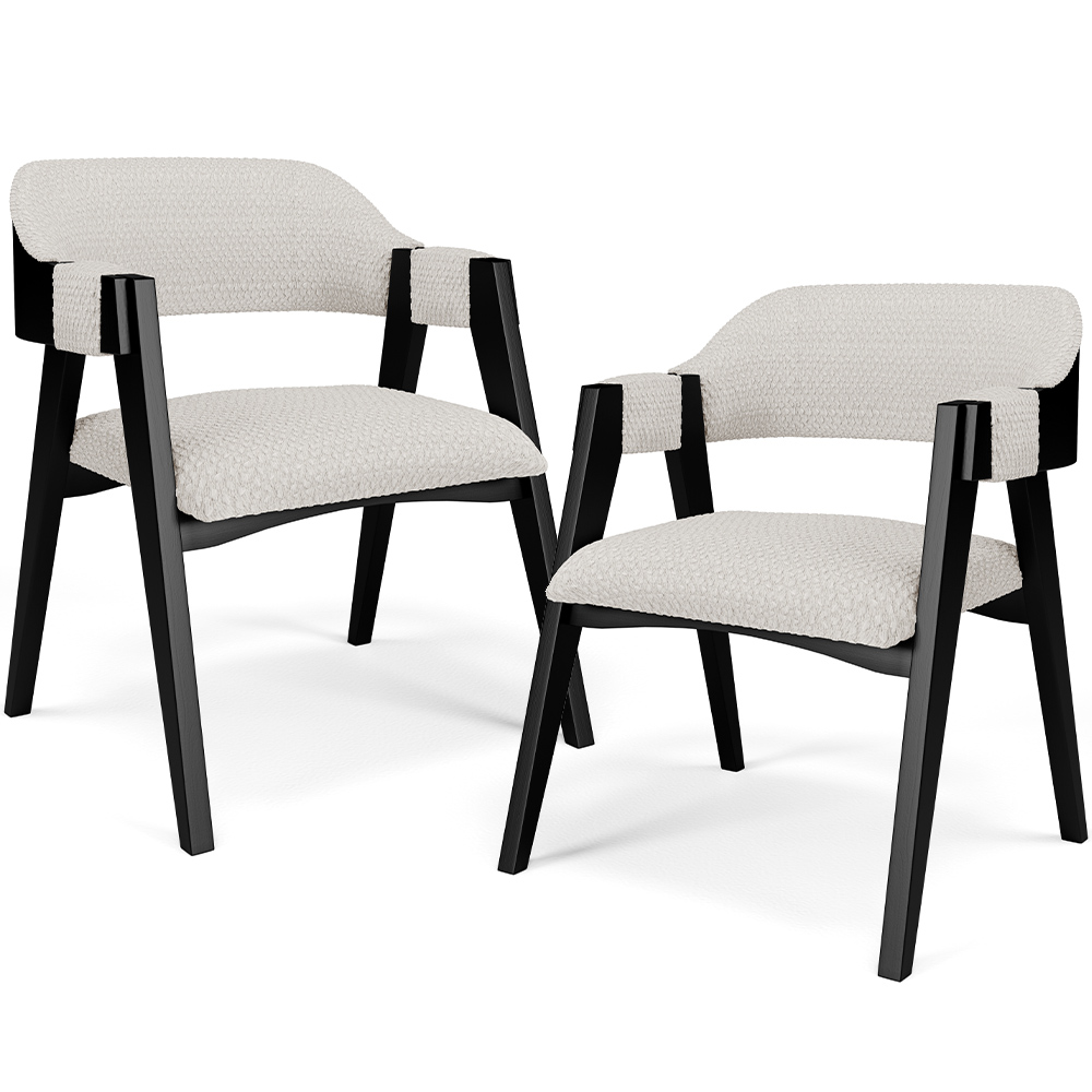 Kit 02 Cadeiras Para Sala de Jantar e Estar Living Estofada Suran L02 Preto Bouclê Cru - Lyam