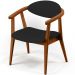 Kit 02 Poltronas Decorativas Para Sala de Estar Jantar Cecília L02 Facto Preto - Lyam Decor