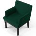 Kit 02 Poltronas Decorativas Sala de Estar Base Preto Beatriz W01 Bouclê Verde - Lyam Decor