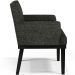 Kit 02 Poltronas Decorativas Sala de Estar Base Preto Beatriz W01 Linho Chumbo - Lyam Decor