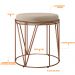 Kit 02 Puffs Decorativo Aramado Bronze Zaya L02 Suede Bege - Lyam Decor