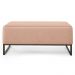 Kit 02 Puffs Decorativo Para Sala de Estar Cléo W01 Base de Ferro 90 cm Linho Rosê - Lyam Decor