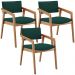 Kit 03 Cadeiras Para Sala de Jantar Estar Living Giorgia B04 Bouclê Verde - Lyam Decor