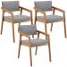 Kit 03 Cadeiras Para Sala de Jantar Estar Living Giorgia L02 Bouclê Cinza - Lyam Decor