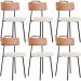 Kit 06 Cadeiras Decorativas Estofada Sala De Jantar Barcelona L02 Couríssimo Camel Linho Cru - Lyam