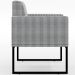 Poltrona Para Sala De Estar Base Fixa De Metal Helô L02 Pied Poule - Lyam Decor