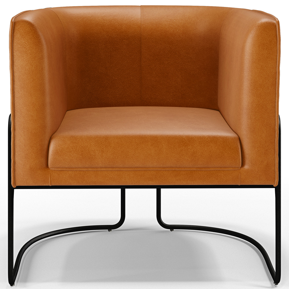 Poltrona Para Sala De Estar Decorativa Fixa Base Aço Preto Betina D02 Couríssimo Whisky - Lyam