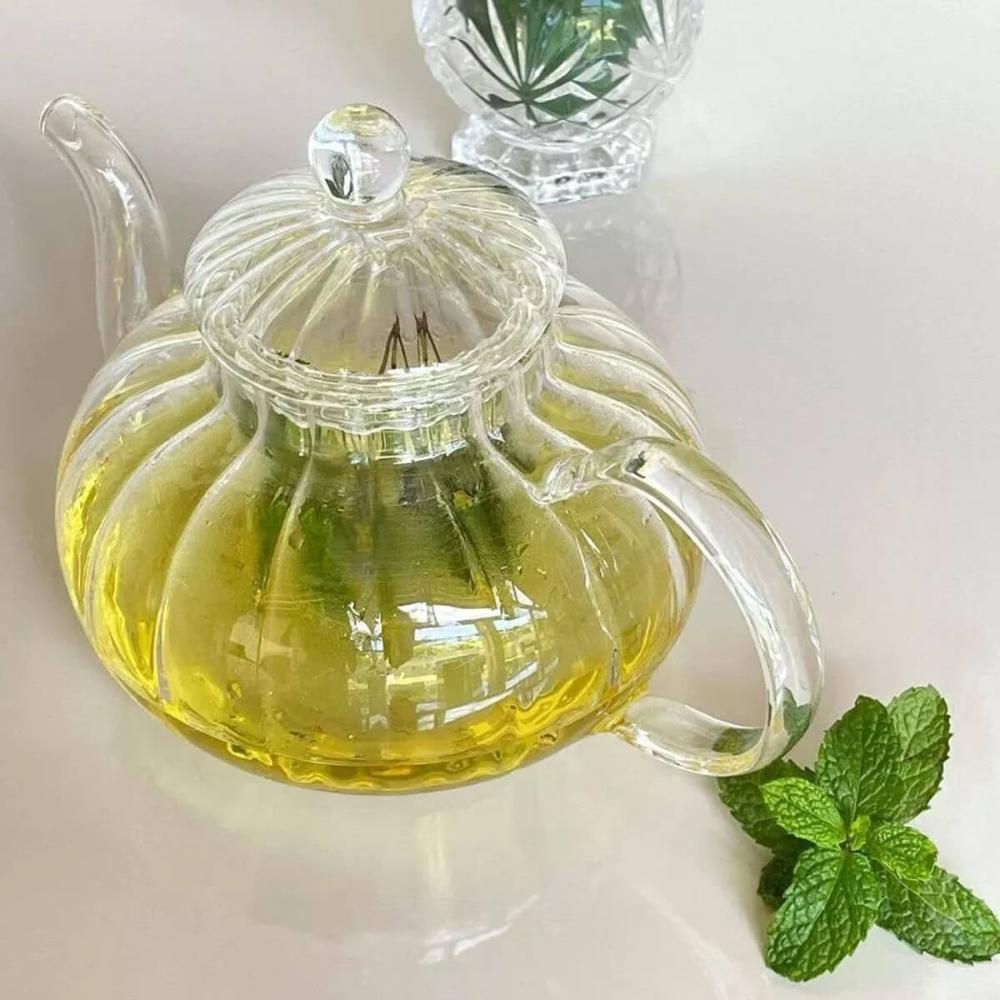Chaleira de Vidro Borossilicato com Infusor de Chá Lyor 800m