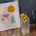Conjunto 2 Vasos de Vidro Transparente para Flores de Mesa Decoração Interiores Sortidos Lyor