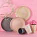 Kit 40 Bandejas para Restaurantes 27cm Casa de Eventos Bambu para Servir Porções Doces Salgados