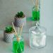Potiche Decorativo de Vidro Cristal Palmeira com Tampa 10x15cm Lyor Bomboniere Baleiro