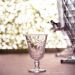 Taça para Água de Vidro Cristal Palm 240ml Lyor Decorada Pal