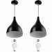 2 Lustres Pendente Gota Pequena Alumínio 21cm Preto + Lampada