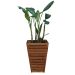 Cachepot Cone 60 CM Madeira Maciça Natural