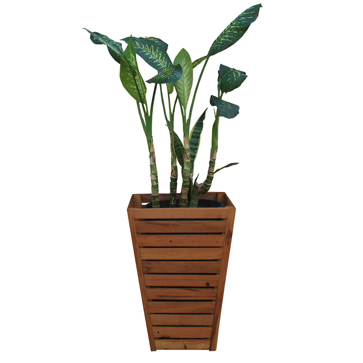 Cachepot Cone 60 CM Madeira Maciça Natural