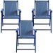 Kit 3 Cadeira Praia Dobrável Madeira Black-Azul Claro