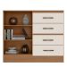 Cômoda Sapateira para Quarto 2 Portas 4 Gavetas Lisa Nature/Off White