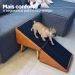 Rampa Escada Pet Móvel Puff Cachorro Gato Antiderrapante
